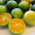 シークワーサーの効能｜女性に嬉しいノビレチンとは？